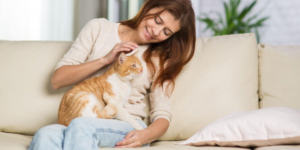 آیا گربه ها صاحبان خود را دوست دارند؟