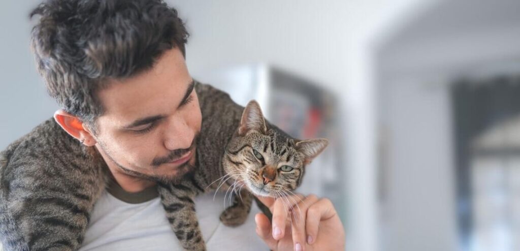 آیا گربه ها دلتنگ صاحبشان می شوند؟