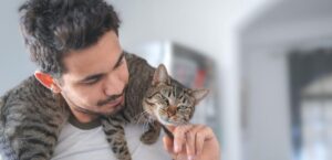 آیا گربه ها دلتنگ صاحبشان می شوند؟